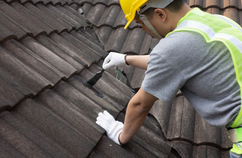 Repair Work on Rubber Roof
